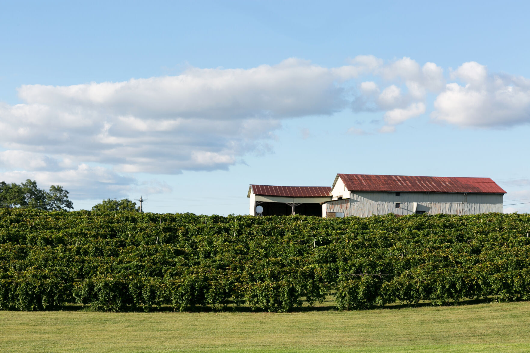 0162_MWGB_LesBourgeois.jpg